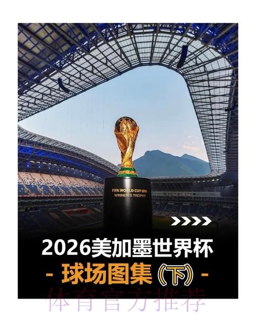 2026世界杯在哪买球最靠谱